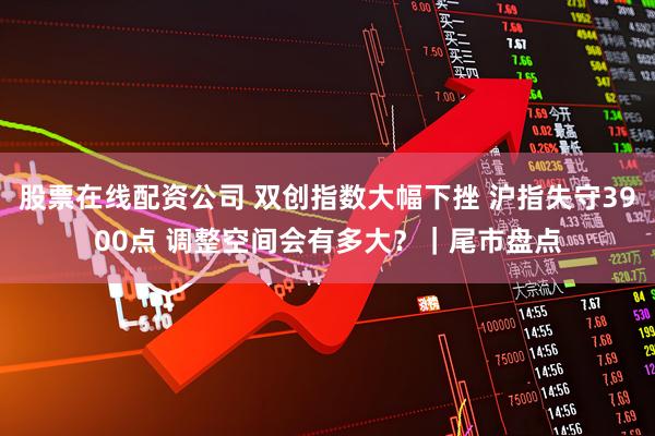 股票在线配资公司 双创指数大幅下挫 沪指失守3900点 调整空间会有多大？｜尾市盘点