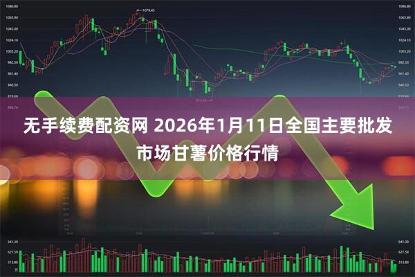 无手续费配资网 2026年1月11日全国主要批发市场甘薯价格行情
