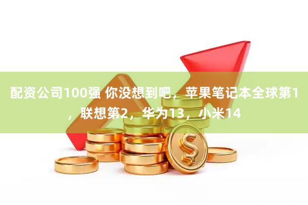 配资公司100强 你没想到吧，苹果笔记本全球第1，联想第2，华为13，小米14
